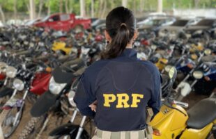 Leilão da PRF em SC oferece 651 veículos a partir de R$ 600
