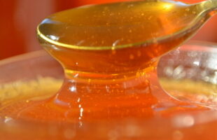 Mel de SC sob ameaça com tarifas de Trump nos EUA