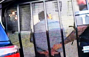 Polícia captura investigado por roubo a empresa no Centro de Criciúma