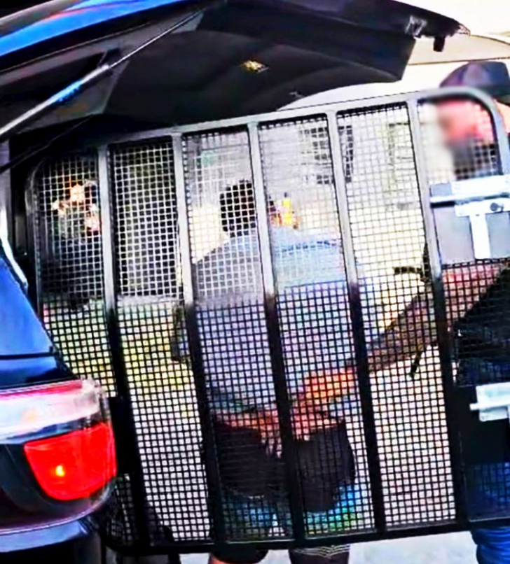 Polícia captura investigado por roubo a empresa no Centro de Criciúma