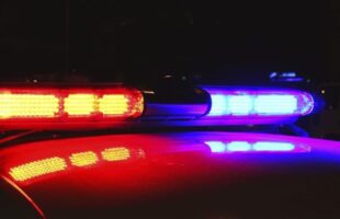 Casal é detido por furto de gado e maus-tratos a animal em Criciúma