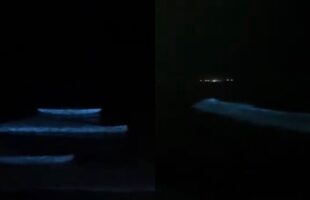 Farol de Santa Marta é cenário de espetáculo de bioluminescência no litoral catarinense