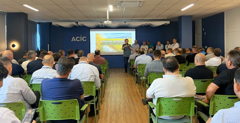 Setor do arroz em SC se une contra impactos da crise