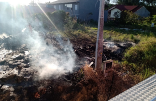Incêndios e cobra dentro de casa agitam fim de semana de bombeiros