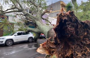 Temporal provoca destruição e desalojamentos em Gaspar na véspera de Natal