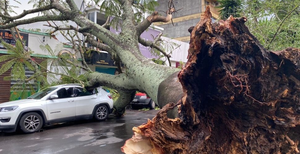 Temporal provoca destruição e desalojamentos em Gaspar na véspera de Natal