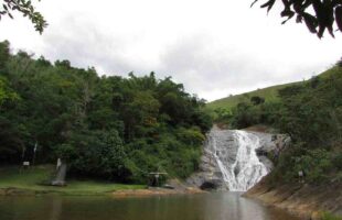 Tragédia em cachoeira deixa pai morto e filho ferido em ataque brutal