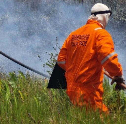 Foguete de fim de ano provoca incêndio em vegetação de Jaguaruna