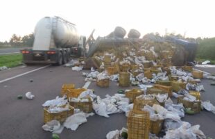 Tombo de caminhão espalha mamões e interdita pista na BR-101