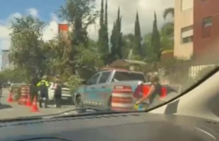 Joinville enfrenta quedas de árvores e bloqueios após ventos intensos