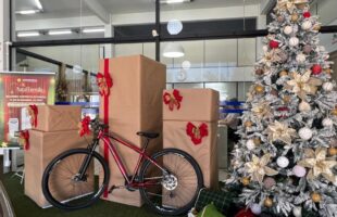 Natal da Energia: Coopercocal promove live com sorteios, música e programação especial na segunda-feira