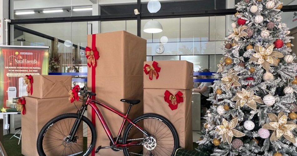 Natal da Energia: Coopercocal promove live com sorteios, música e programação especial na segunda-feira