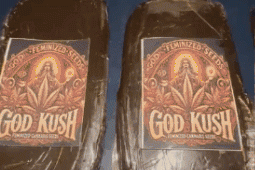 PRF apreende haxixe após fuga em alta velocidade na BR-101