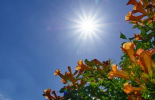 Após chuvas intensas, semana terá sol e temperaturas amenas