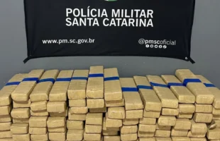Homem é preso com mais de 70 quilos de maconha na BR-101, em Tubarão