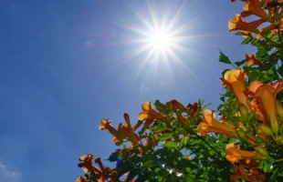 Fim de janeiro terá calor e instabilidade da região