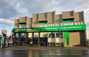 Coopercocal realiza Assembleia Geral Ordinária e inicia processo eleitoral em janeiro de 2026