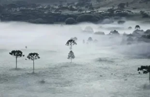 Geada histórica atinge Santa Catarina em janeiro de 2026