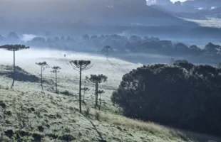 Geada surpreende no verão da Serra Catarinense e temperatura despenca a 1,8°C