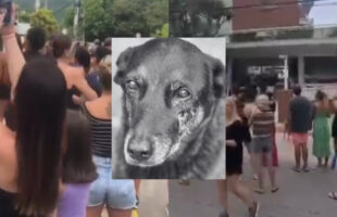 Justiça para Orelha: protesto em Florianópolis cobra punição por morte de cão comunitário