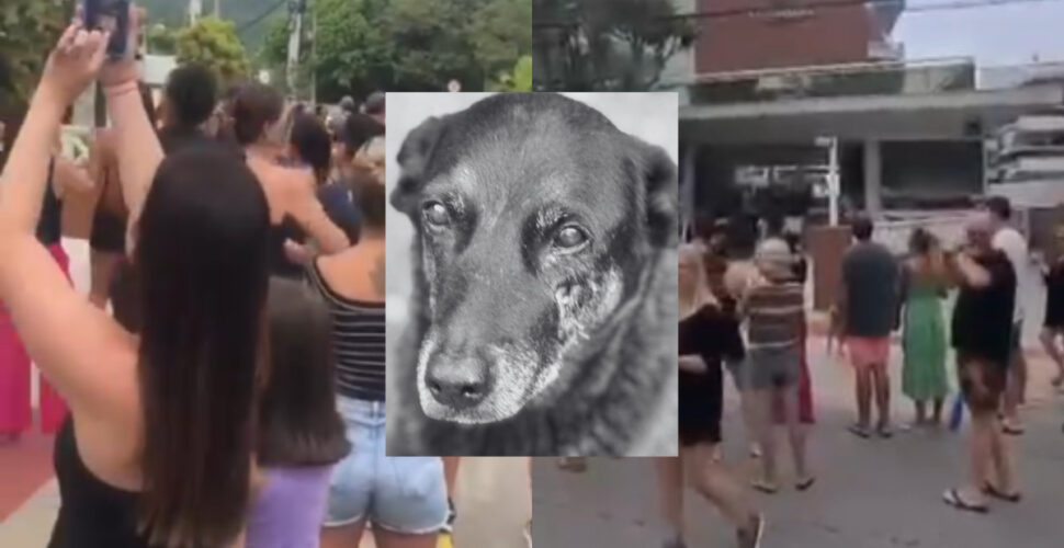Justiça para Orelha: protesto em Florianópolis cobra punição por morte de cão comunitário