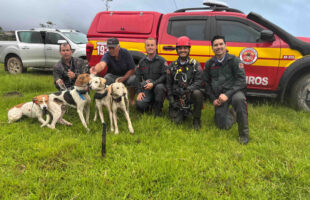 Cães de caça são resgatados pela corporação em encosta íngreme de Orleans