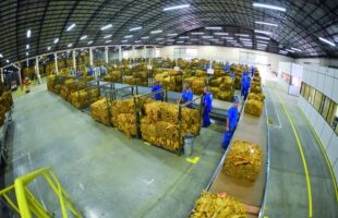 Indústria de tabaco anuncia saída de Araranguá e prefeitura busca novo negócio para a área