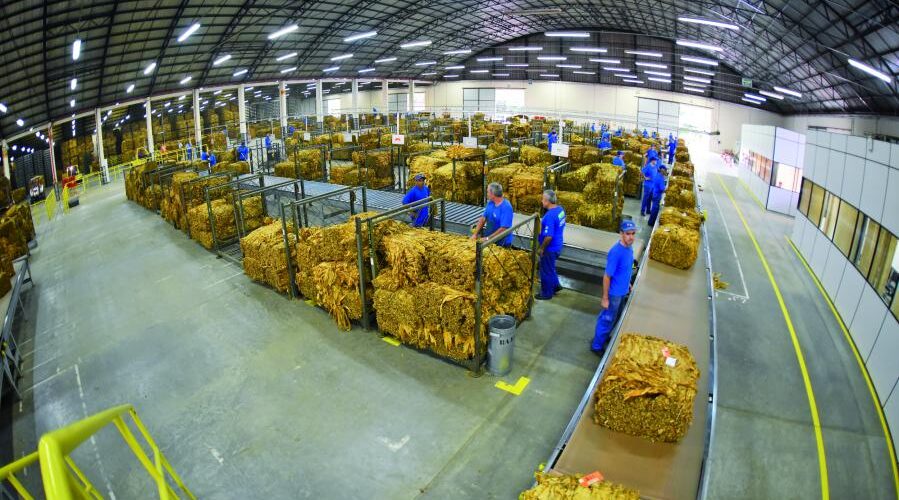 Indústria de tabaco anuncia saída de Araranguá e prefeitura busca novo negócio para a área