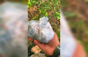 Com apoio de cão policial, PM localiza drogas em Tubarão