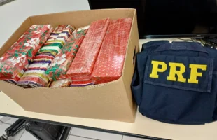 PRF apreende cerca de 20 quilos de maconha durante abordagem na BR-101, em Tubarão