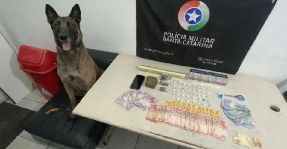 Mercearia é fechada após operação da PM por suspeita de tráfico em Araranguá