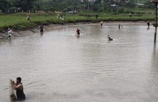 Famílias podem retirar peixes de graça em açude no sítio esperança