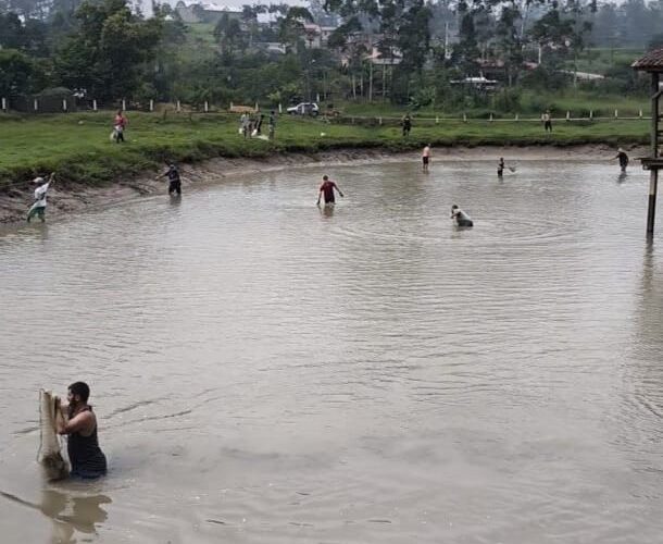 Famílias podem retirar peixes de graça em açude no sítio esperança