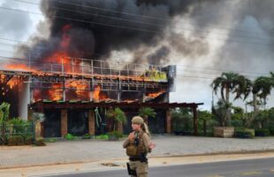 Garopaba tem loja de paisagismo destruída por grande incêndio