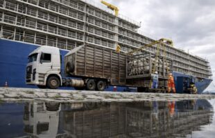 Exportação de gado vivo tem melhor mês da história com ágio de até 63%