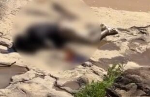 Corpo de homem é encontrado no rio Tubarão entre Orleans e Pedras Grandes