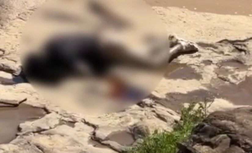 Corpo de homem é encontrado no rio Tubarão entre Orleans e Pedras Grandes