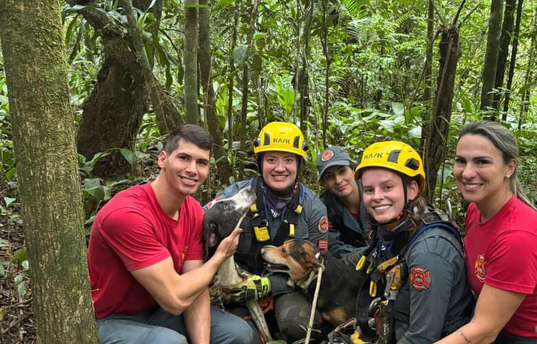 Dois cachorros são resgatados de buraco com aproximadamente 10 metros de profundidade em Lauro Müller