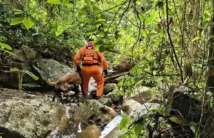 Desaparecido desde terça-feira de Carnaval, homem é achado morto em riacho de Pomerode, no Vale do Itajaí