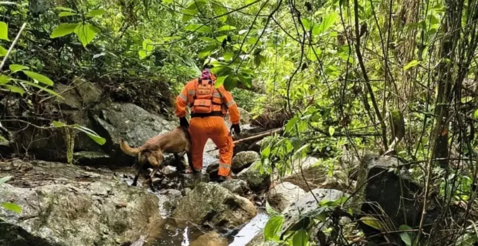 Desaparecido desde terça-feira de Carnaval, homem é achado morto em riacho de Pomerode, no Vale do Itajaí
