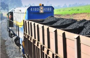 Ferrovia Tereza Cristina tem renovação de contrato debatida em audiência pública amanhã