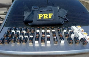 PRF apreende anabolizantes e medicamentos para emagrecimento na BR-101 em Laguna