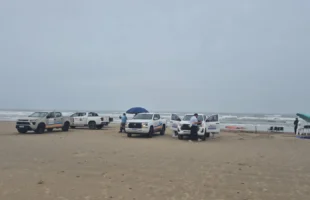 Cachalote-anão morre após encalhar em praia de Araranguá