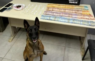 Jovens são presos por tráfico de drogas na avenida Centenário, em Criciúma