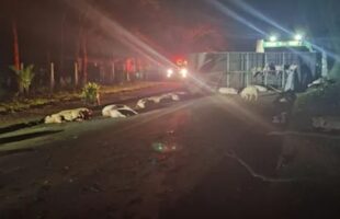 Acidente ocorreu na madrugada desta quinta-feira (5) no Oeste de Santa Catarina; motorista de 26 anos saiu ileso