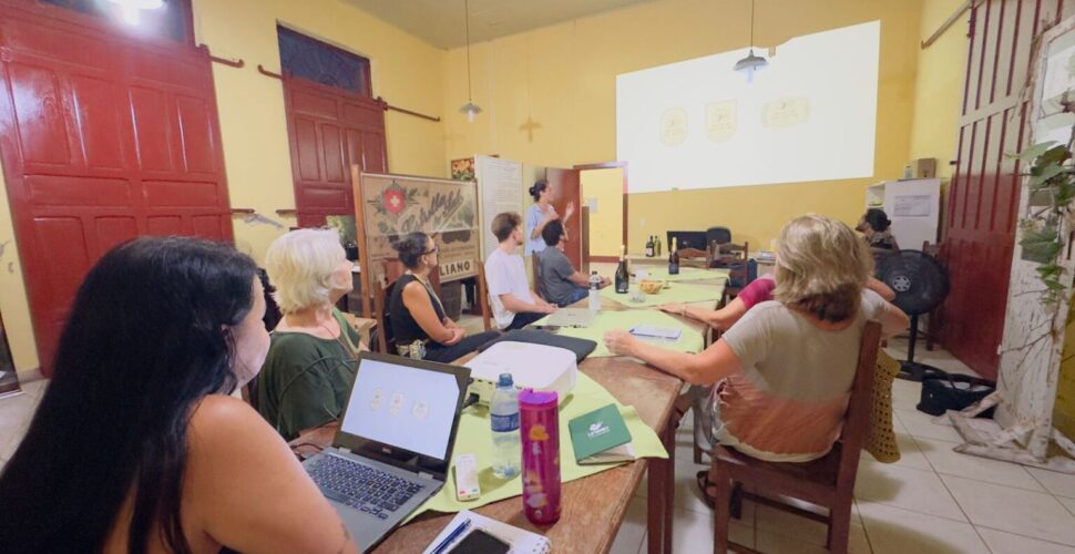 Vales da Uva Goethe revelam nova identidade visual para seus vinhos