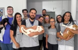 Gatos terapeutas: projeto inovador no caps de porto belo transforma saúde mental
