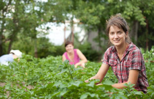Liderança feminina no campo catarinense cresce mais de 26% em 2025
