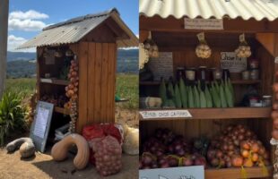 Barraquinha sem dono no interior de sc vende produtos coloniais na base da confiança