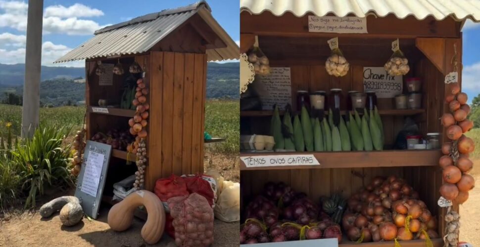 Barraquinha sem dono no interior de sc vende produtos coloniais na base da confiança
